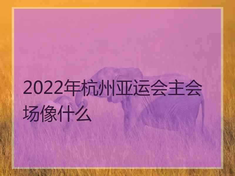 2022年杭州亚运会主会场像什么