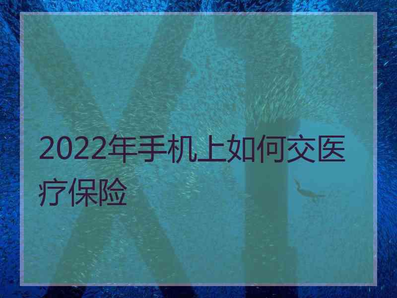 2022年手机上如何交医疗保险