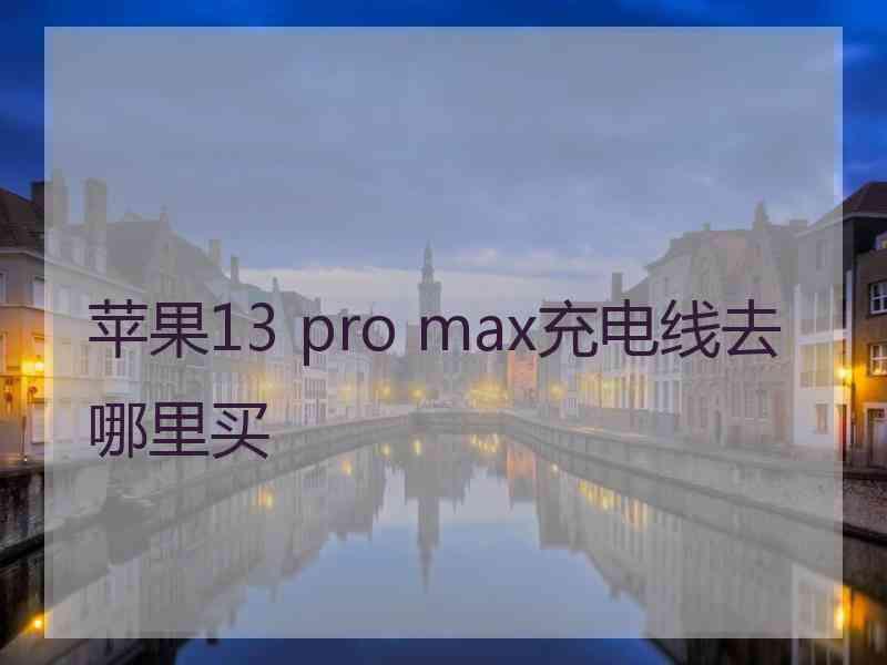 苹果13 pro max充电线去哪里买