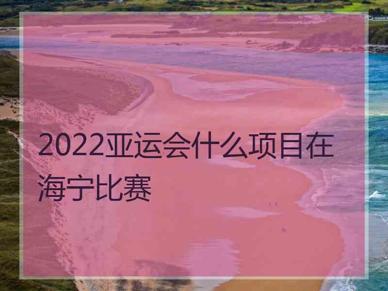 2022亚运会什么项目在海宁比赛