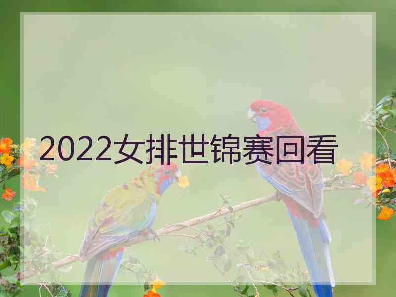 2022女排世锦赛回看