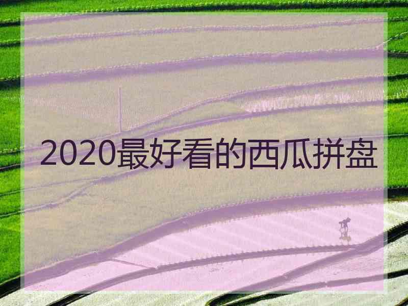 2020最好看的西瓜拼盘