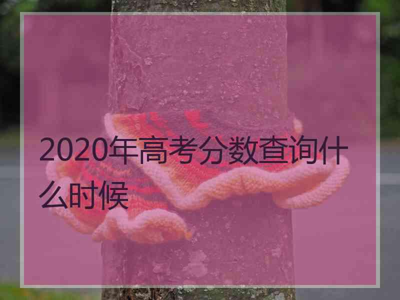 2020年高考分数查询什么时候