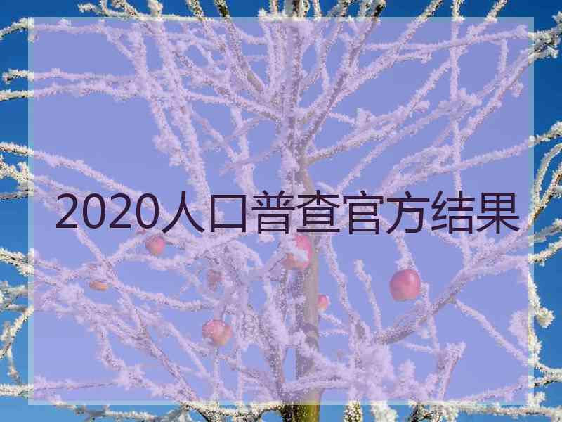 2020人口普查官方结果