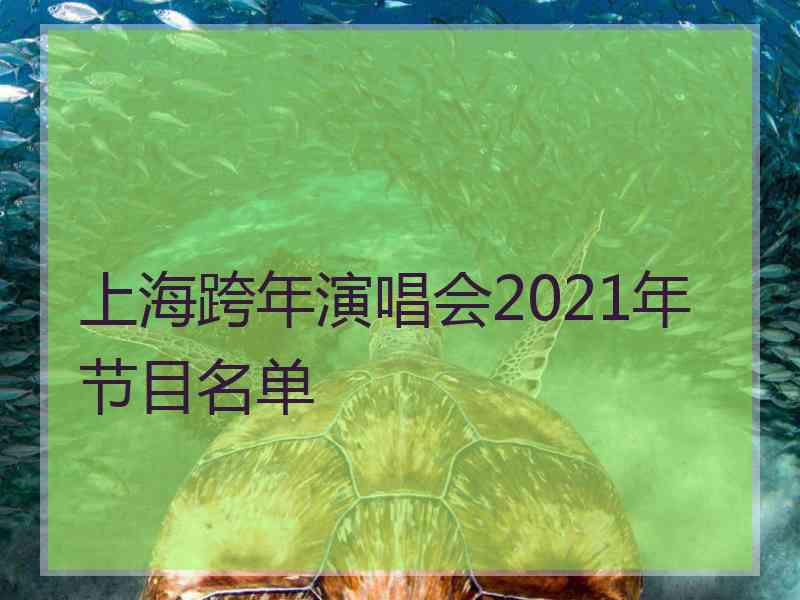 上海跨年演唱会2021年节目名单