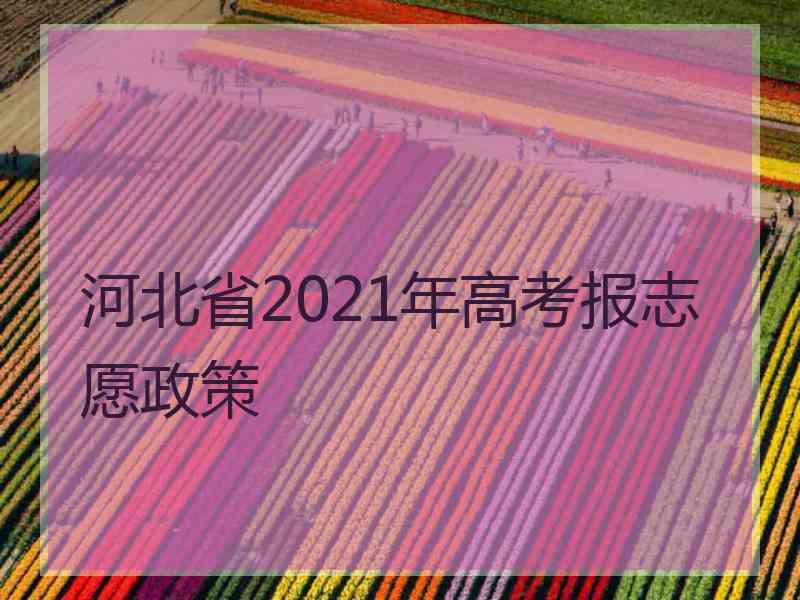 河北省2021年高考报志愿政策