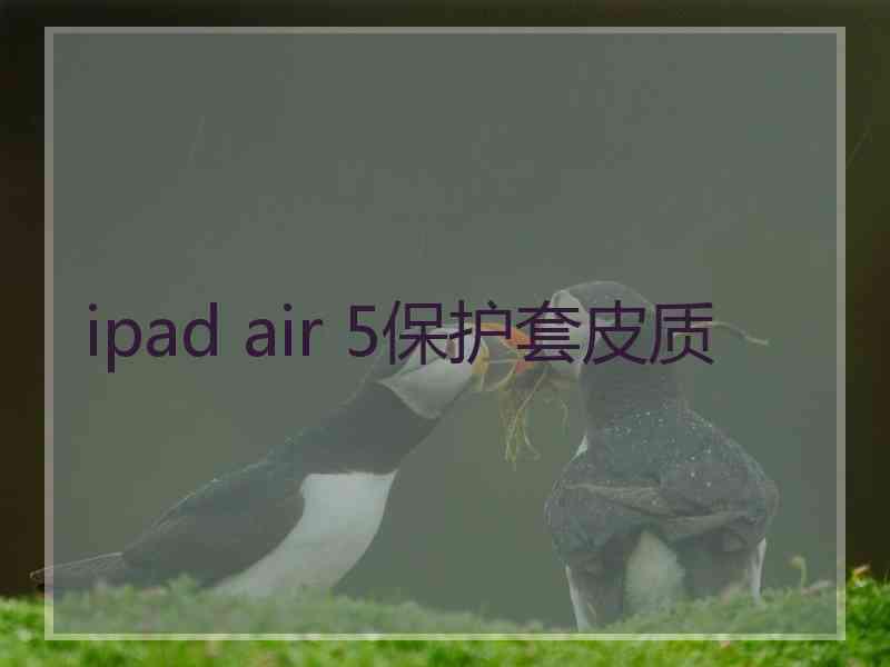 ipad air 5保护套皮质