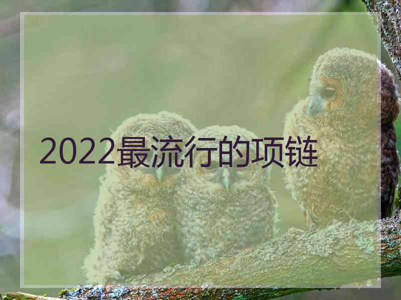 2022最流行的项链