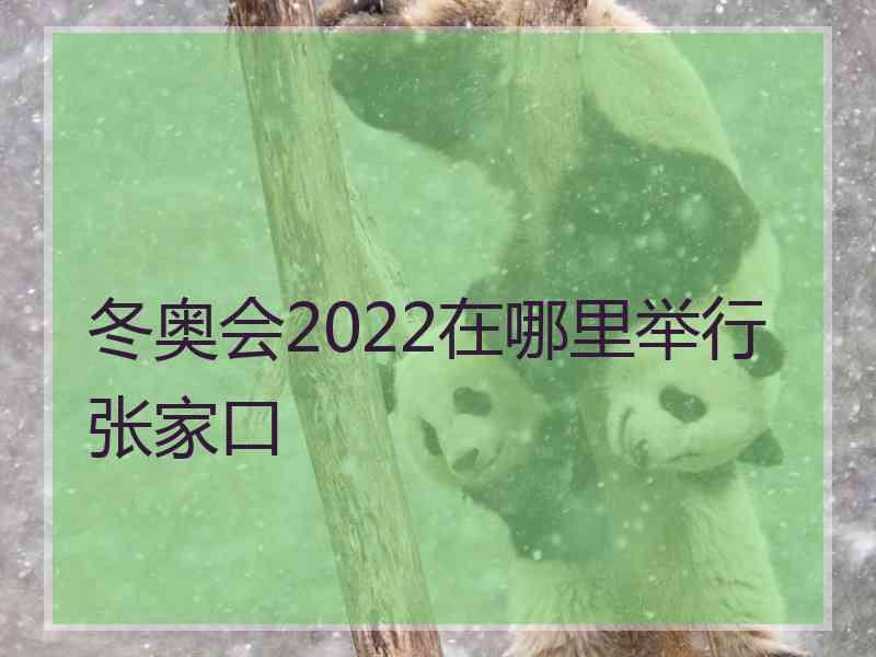 冬奥会2022在哪里举行张家口