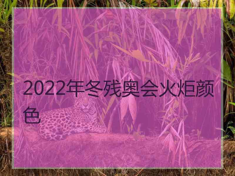 2022年冬残奥会火炬颜色