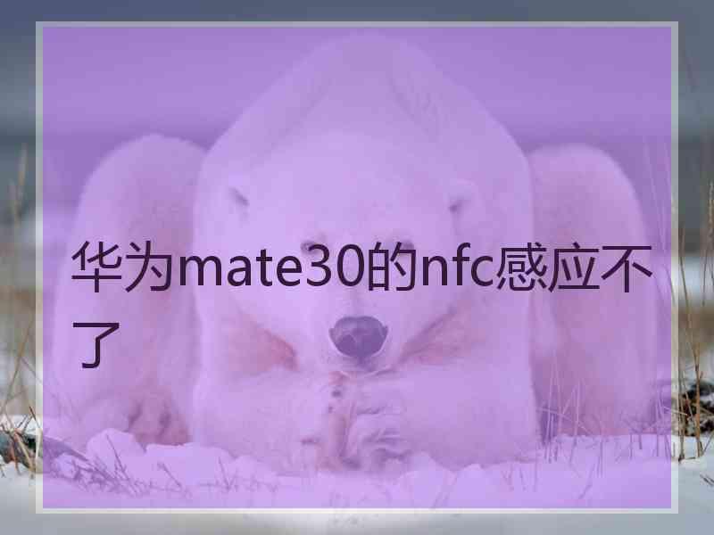 华为mate30的nfc感应不了