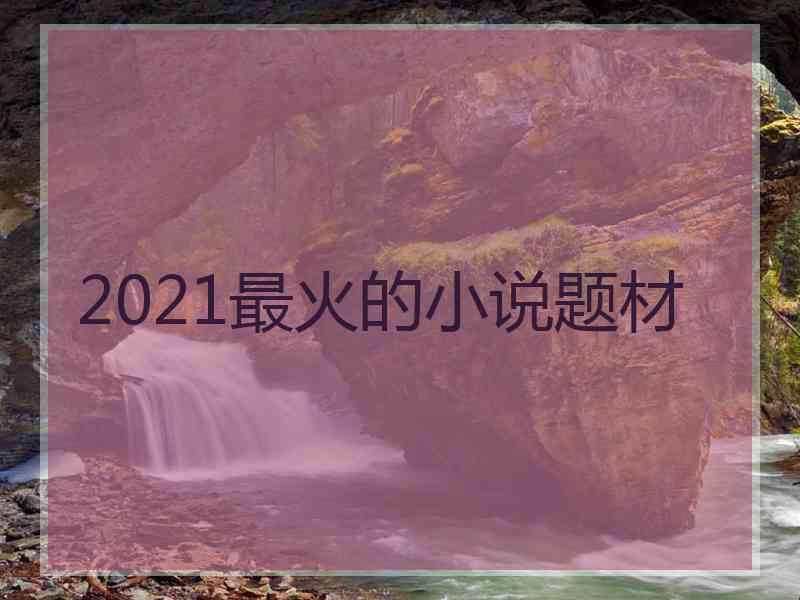 2021最火的小说题材