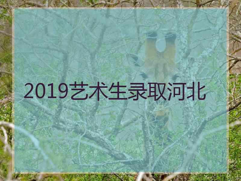 2019艺术生录取河北