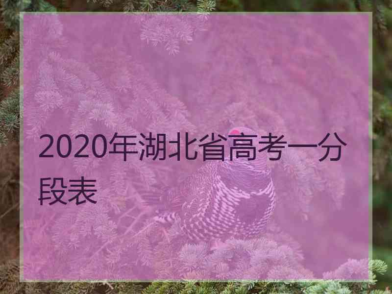 2020年湖北省高考一分段表