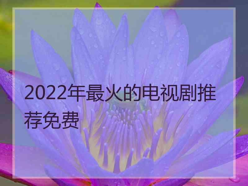 2022年最火的电视剧推荐免费