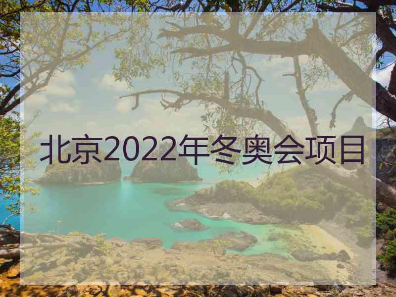 北京2022年冬奥会项目