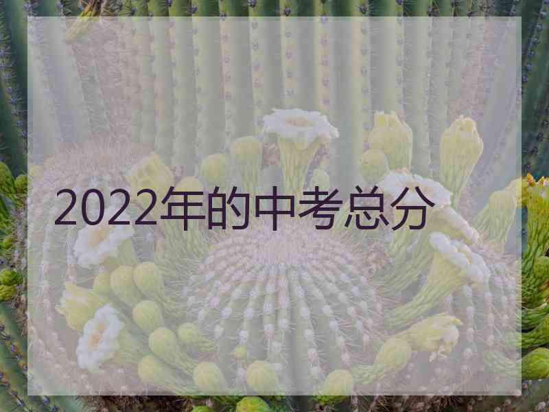 2022年的中考总分