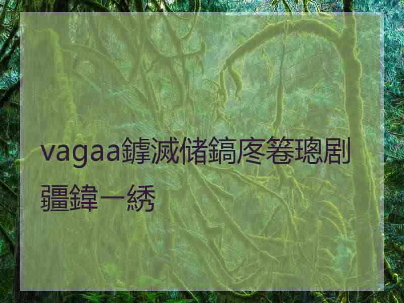 vagaa鎼滅储鎬庝箞璁剧疆鍏ㄧ綉