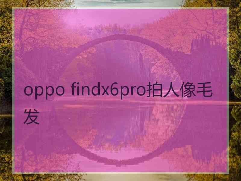 oppo findx6pro拍人像毛发