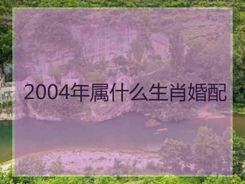 2004年属什么生肖婚配