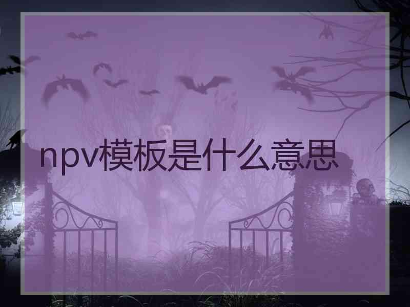 npv模板是什么意思