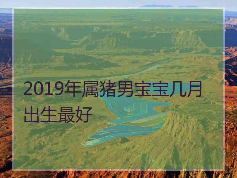 2019年属猪男宝宝几月出生最好