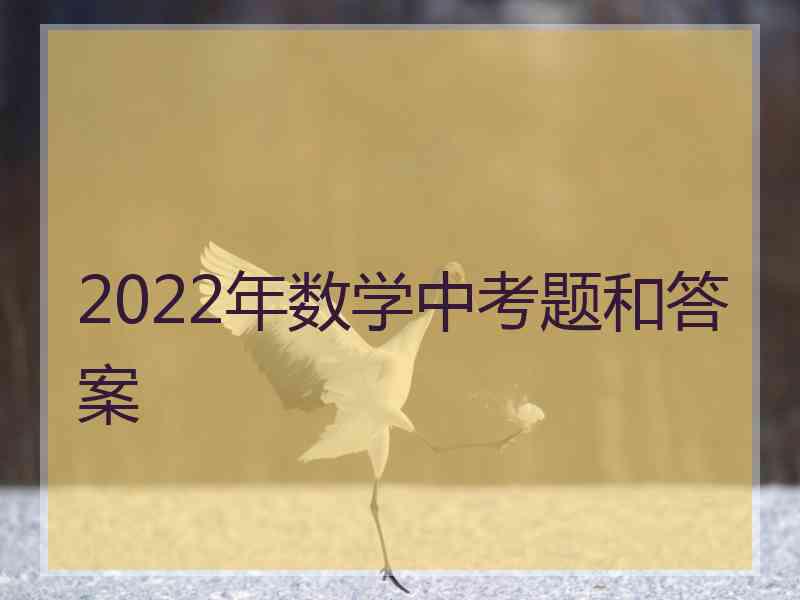 2022年数学中考题和答案