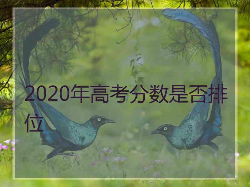 2020年高考分数是否排位