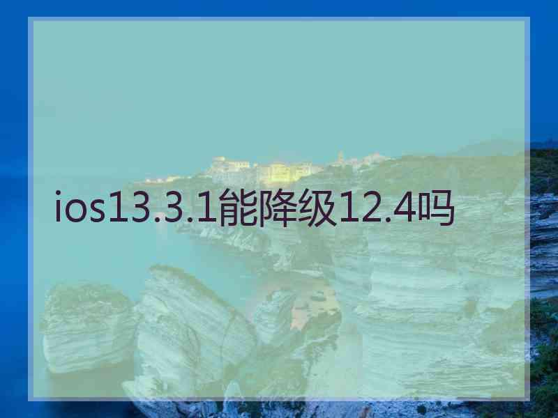 ios13.3.1能降级12.4吗