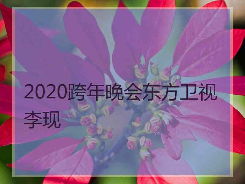 2020跨年晚会东方卫视李现