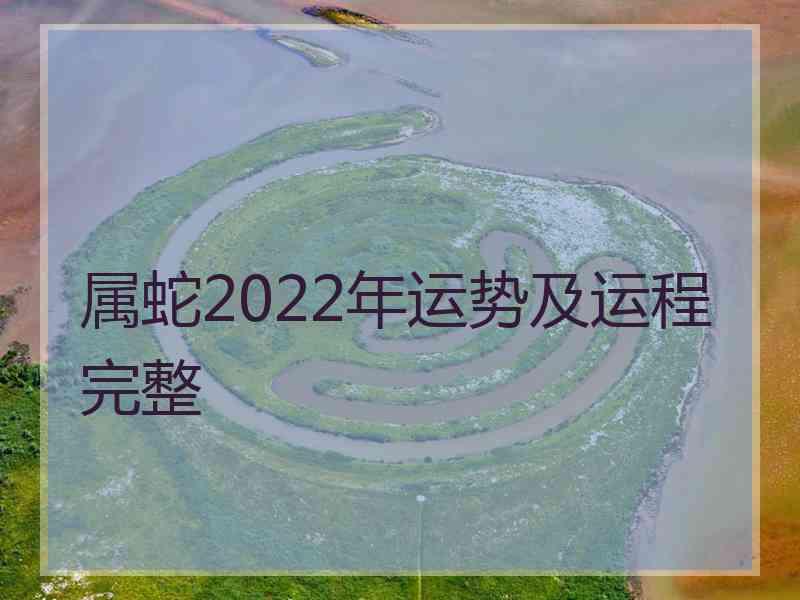 属蛇2022年运势及运程完整