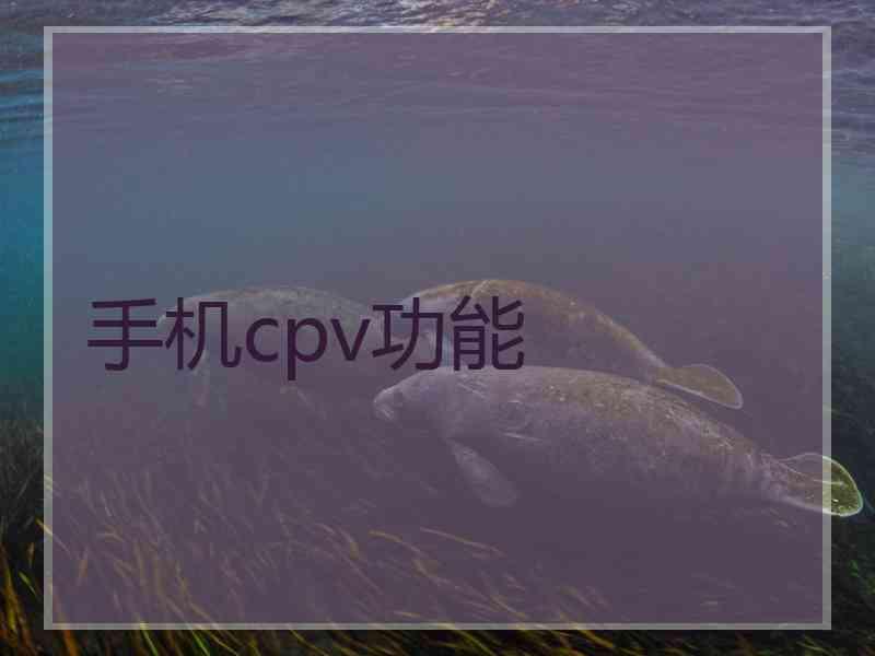 手机cpv功能