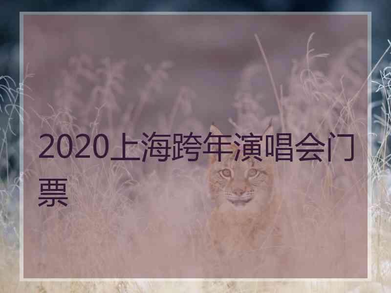 2020上海跨年演唱会门票