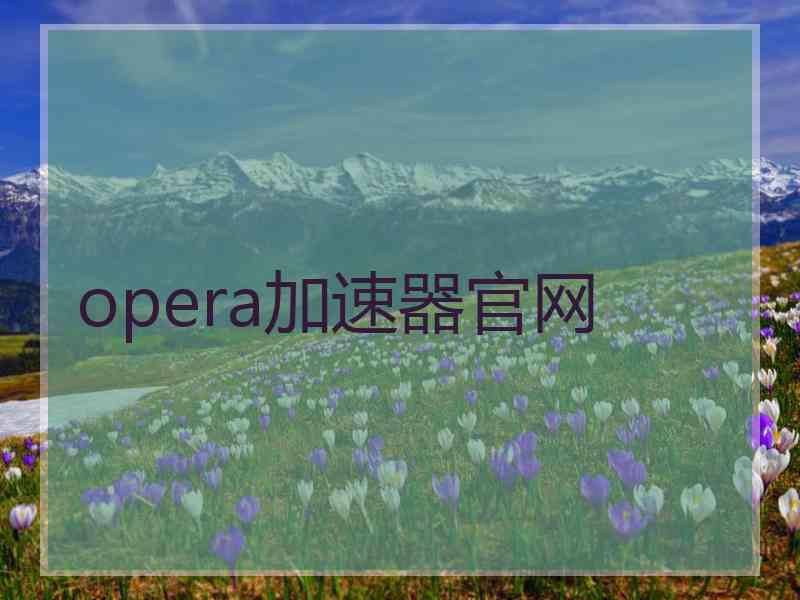 opera加速器官网