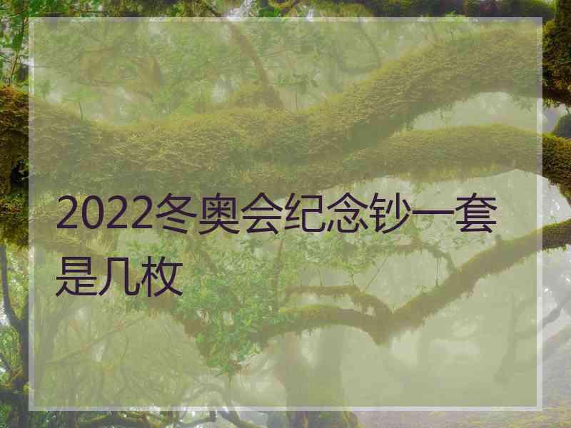 2022冬奥会纪念钞一套是几枚