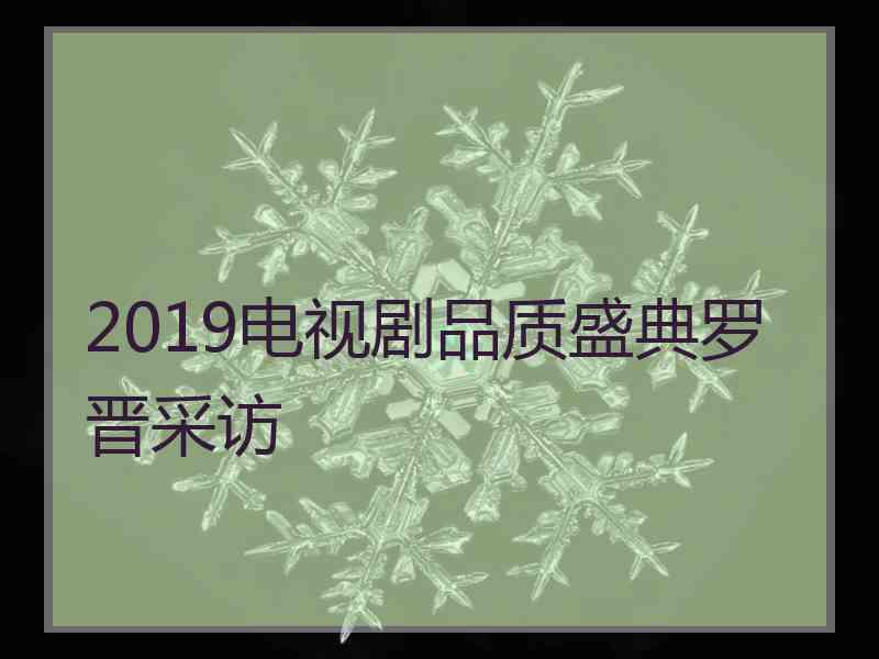 2019电视剧品质盛典罗晋采访