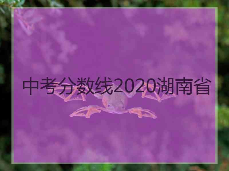 中考分数线2020湖南省