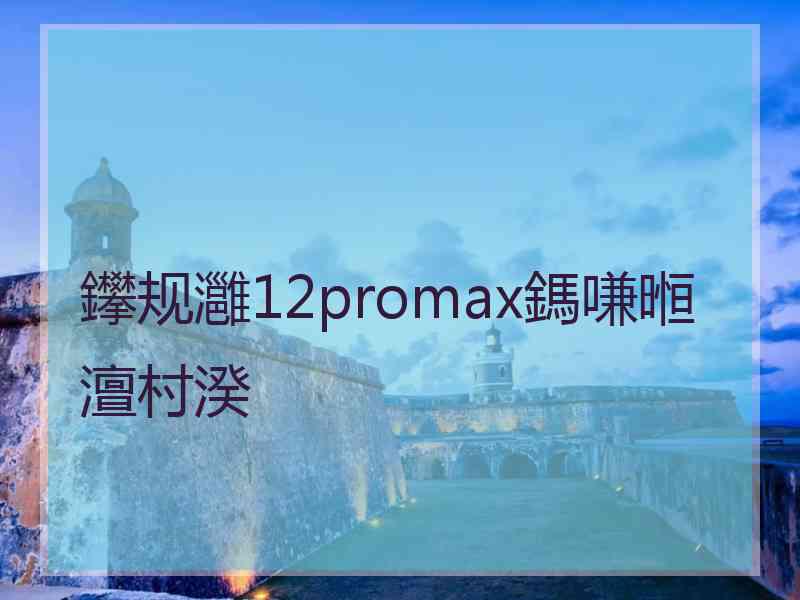 鑻规灉12promax鎷嗛暅澶村湀