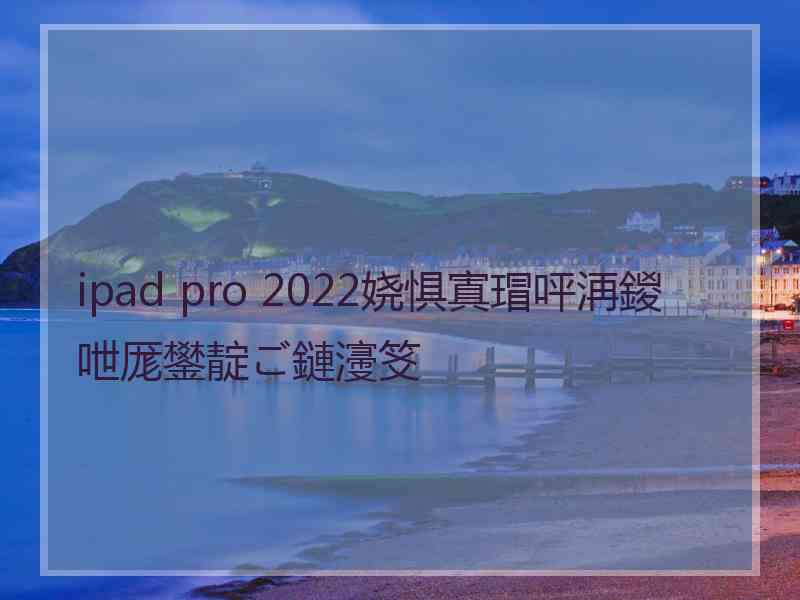 ipad pro 2022娆惧寘瑁呯洅鍐呭厖鐢靛ご鏈濅笅