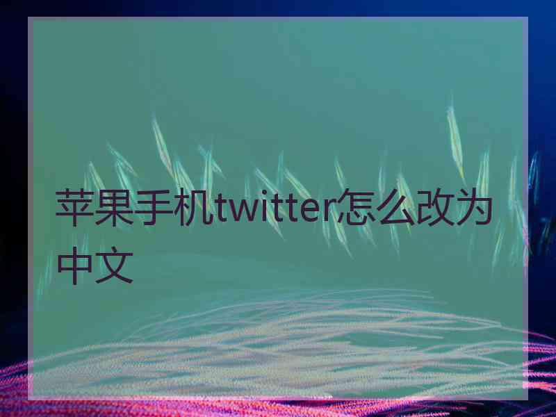 苹果手机twitter怎么改为中文