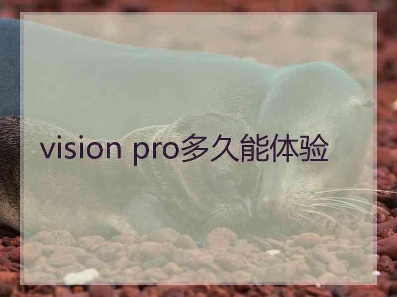 vision pro多久能体验