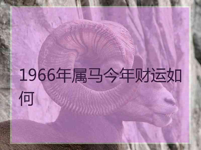 1966年属马今年财运如何