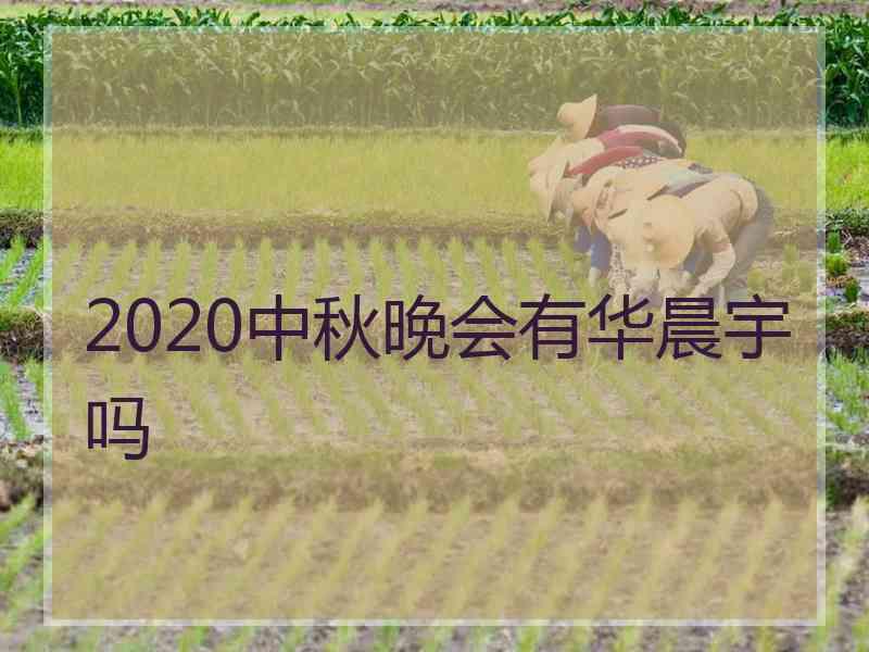 2020中秋晚会有华晨宇吗