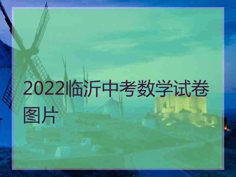 2022临沂中考数学试卷图片