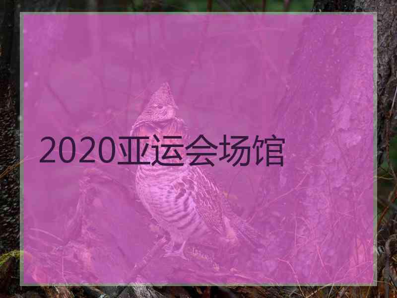 2020亚运会场馆