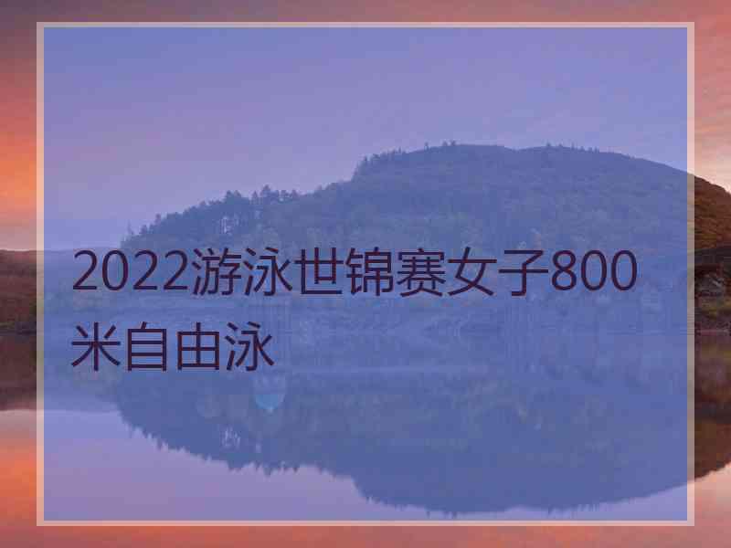 2022游泳世锦赛女子800米自由泳