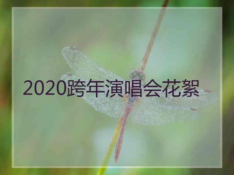 2020跨年演唱会花絮