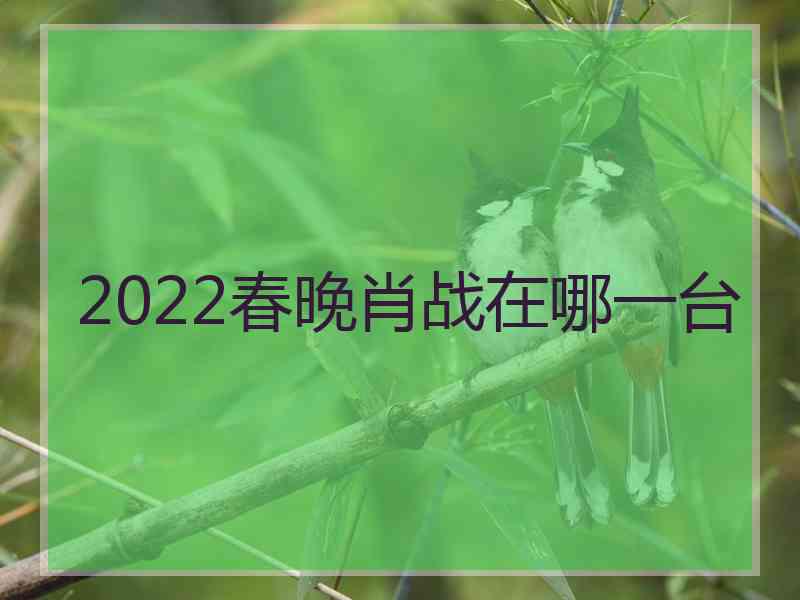 2022春晚肖战在哪一台