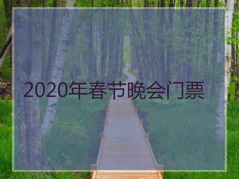 2020年春节晚会门票