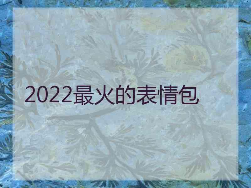 2022最火的表情包